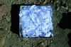 img1