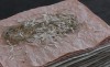 img1
