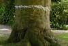 img1
