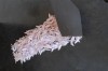 img1