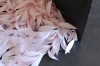 img1