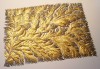 img1
