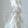 White Paper
