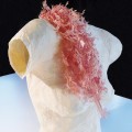 TORSO 1. Skin of paper with paper jewelry.