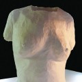 TORSO 5. SKIN OF PAPER.